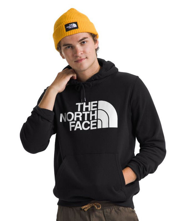THE NORTH FACE MENS HALF DOME PO HOODIE