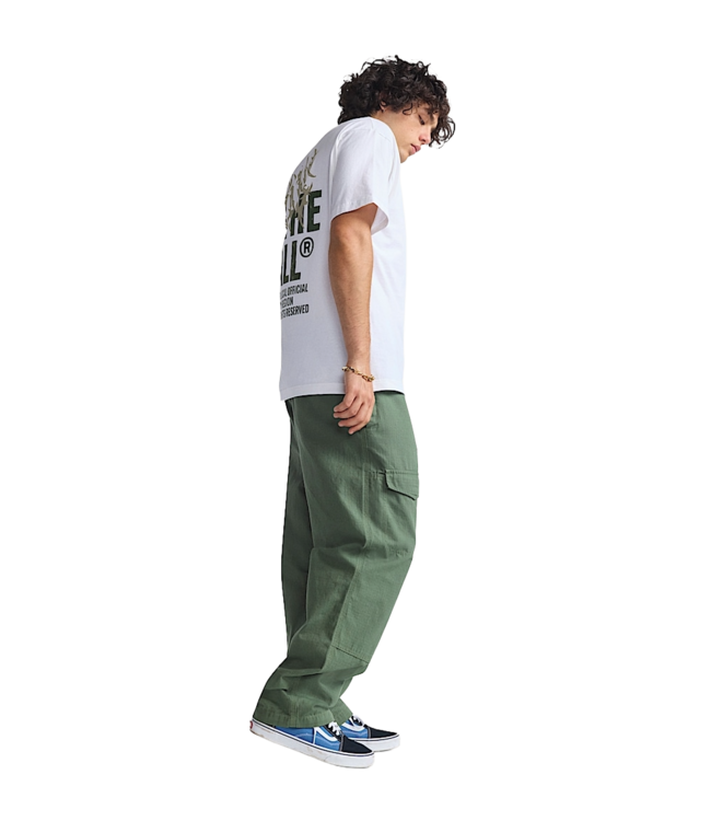VANS MENS SKATE LOOSE ATIBA HAZE CARGO PANTS (EN6) PINE FOREST