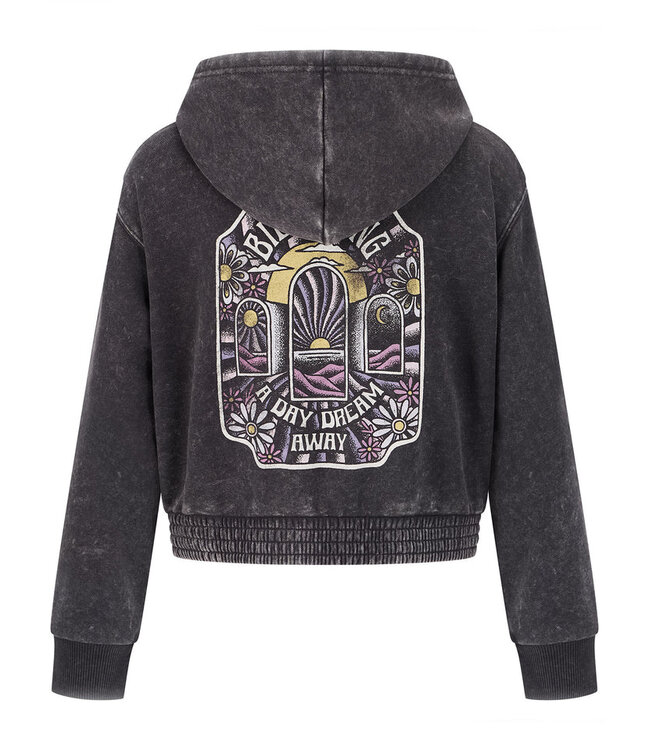 BILLABONG GIRLS DAY DREAM ZIP HOODIE