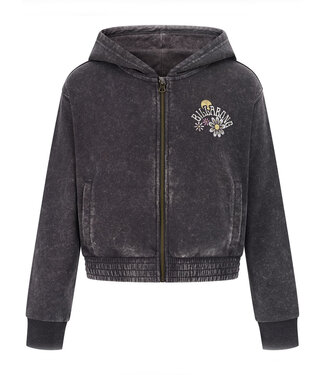 BILLABONG GIRLS DAY DREAM ZIP HOODIE