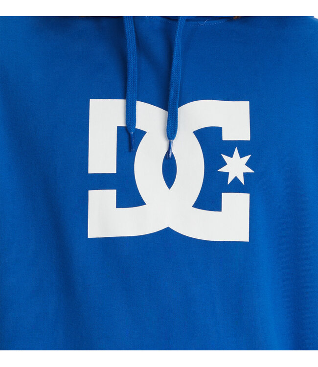 DC MENS DC STAR HOODY SP22 BQR0