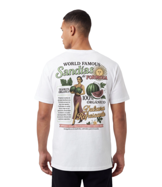 TEAMLTD TEAMLTD MENS ORGANICS SANDIAS SHORT SLEEVE TEE WHITE