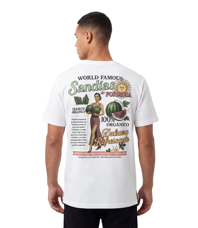 TEAMLTD MENS ORGANICS SANDIAS SHORT SLEEVE TEE WHITE