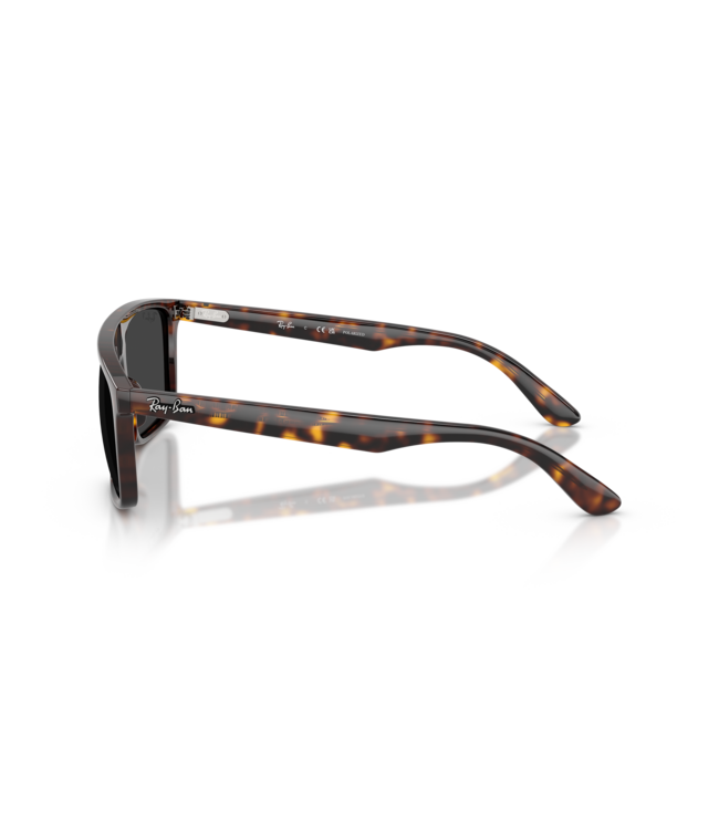 RAY-BAN RB2222 SUNGLASSES HAVANA w/ BLACK POLAR