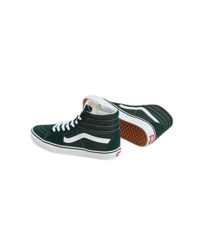VANS MENS SK8-HI COLOR THEORY SHOES SCARAB