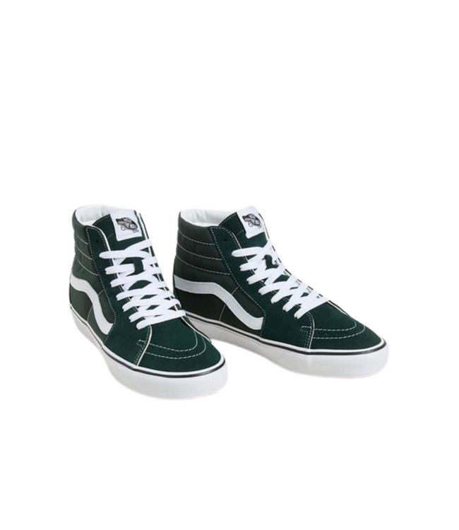 VANS MENS SK8-HI COLOR THEORY SHOES SCARAB