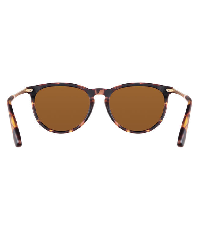 BLENDERS NORTH PARK X2 BRANDY NIGHT SUNGLASSES MATTE TORT w/ AMBER POLAR LENS