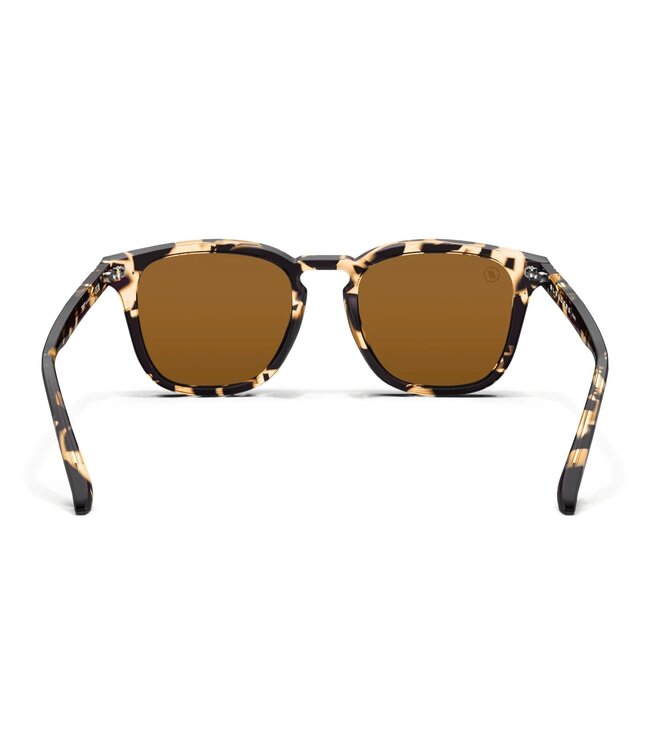 BLENDERS SYDNEY TORT SUNGLASSES CRYS TAN TORT w/ AMBER PLR LENS