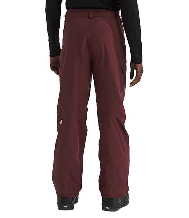 THE NORTH FACE FREEDOM PANT REGULAR SUMAC 2026