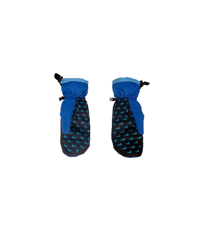 SALMON ARMS WAVES TEAM MITTS 2026