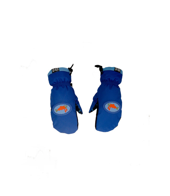 SALMON ARMS WAVES TEAM MITTS 2026
