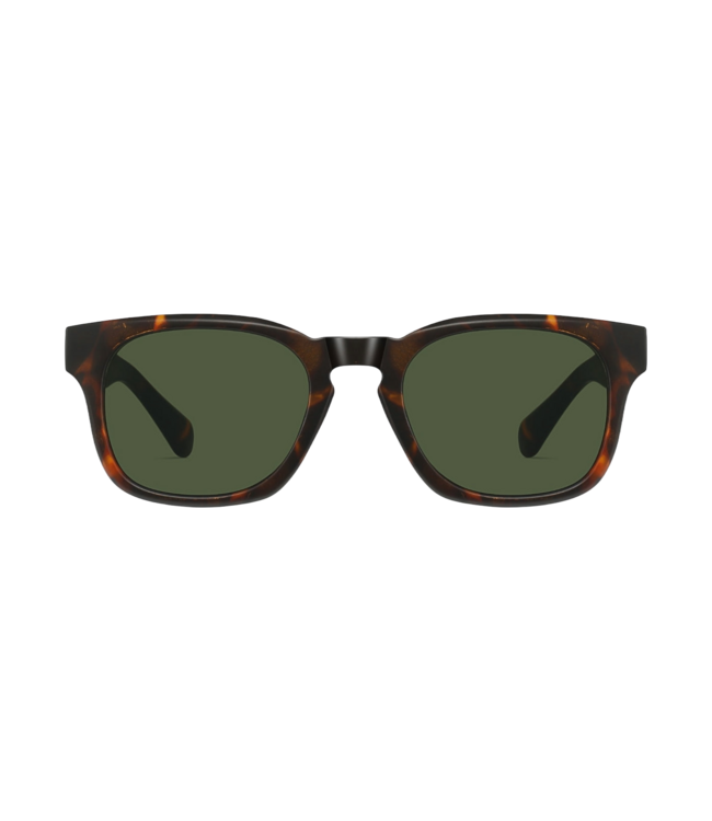ASHBURY REMY TORTOISE SUNGLASSES w/ G15 LENS