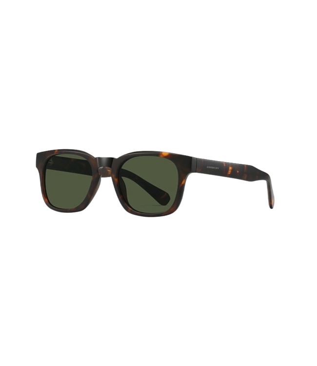 ASHBURY REMY TORTOISE SUNGLASSES w/ G15 LENS