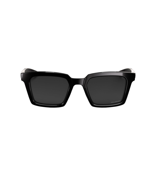 100% ERBA POLISHED BLACK SUNGLASSES w/ GREY POLAR