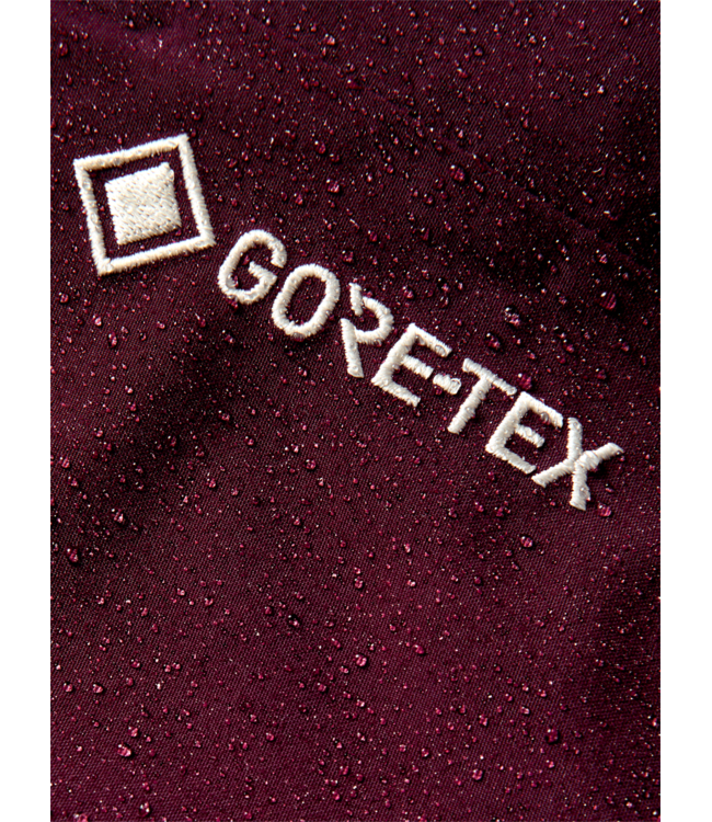 BURTON MENS AK GORE-TEX SWASH PANTS RUM RAISIN 2027