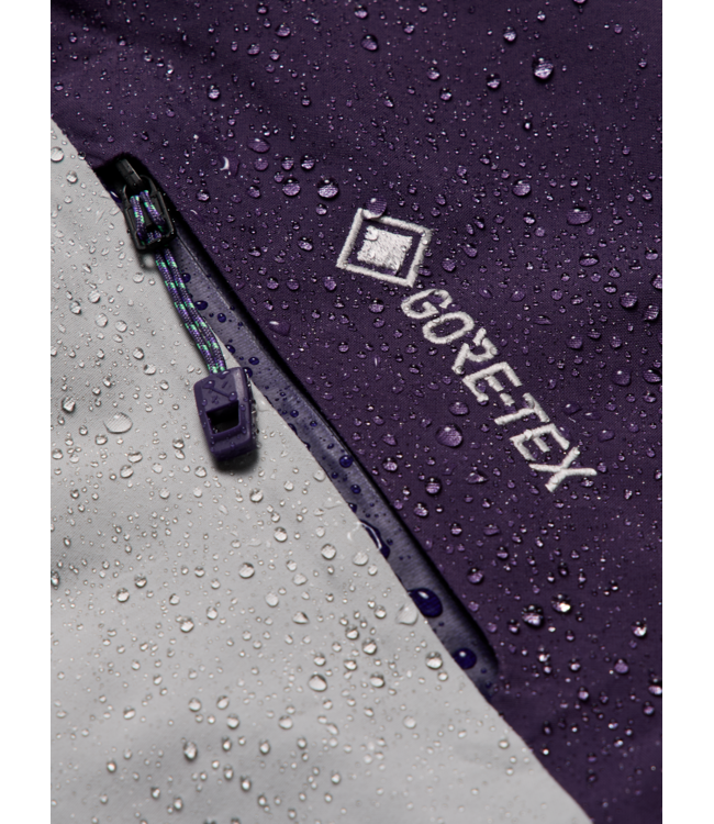 BURTON MENS AK GORE-TEX SWASH INSULATED NIGHTSHADE PURPLE APPARITION GRAY 2027