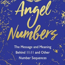 Angel Numbers  - Kyle Gray Book