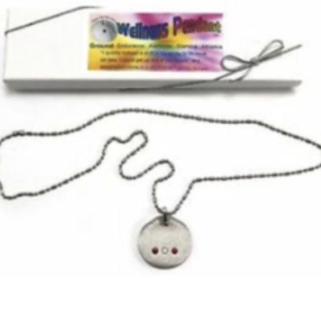 Grounding Wellness Pendant-Sterling Silver Necklace