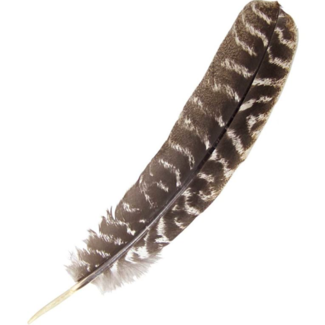 Brown Sage/Smudge/Smudging Turkey Feather