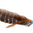 Dark Brown and Light Brown Smudge/Sage Turkey Feather with Turquoise Bead  (10-12")