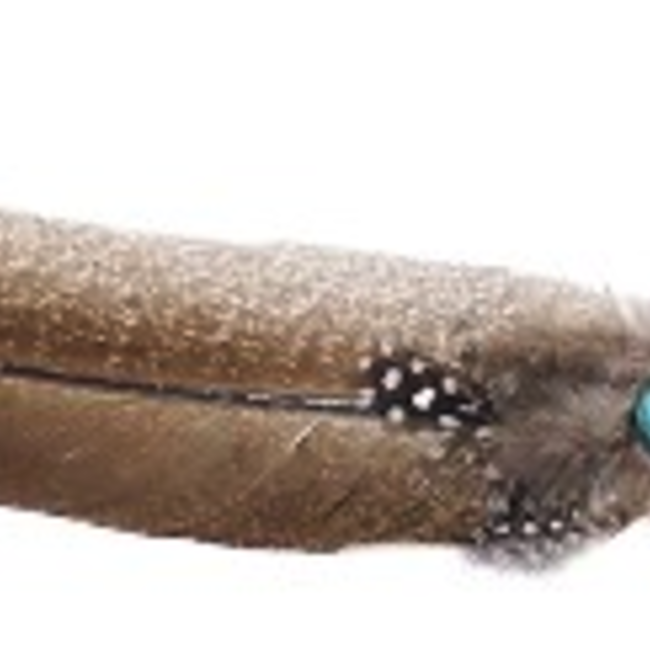 Dark Brown and Black Polka Dot Smudge/Sage Turkey Feather with Turquoise Bead (10-12")