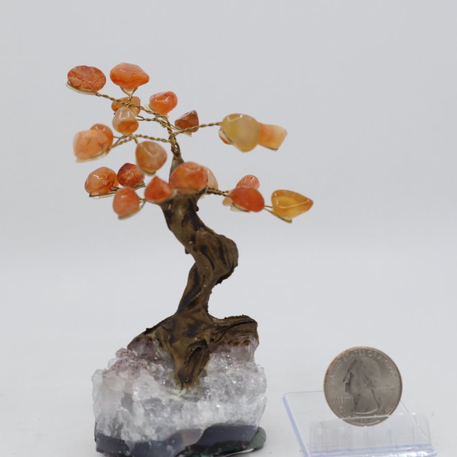 Carnelian Bonsai Tree on Amethyst- 3.5"