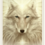 White Light Oracle Cards Deck - Tarot