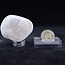 Clear (Crystal) Quartz - Emma Palm Egg