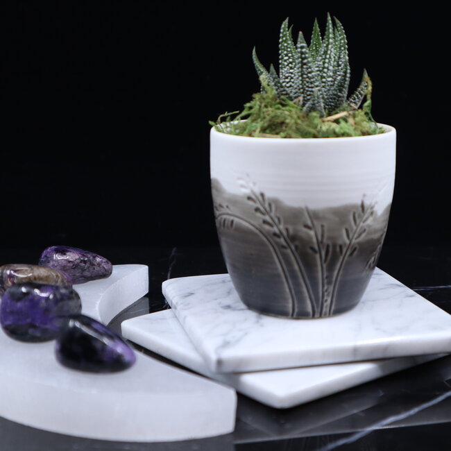 Selenite (Satin Spar Gypsum) Charging Disks Plates - Crescent Moon Medium