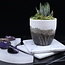 Selenite (Satin Spar Gypsum) Charging Disks Plates Station - 6" Crescent Moon Medium