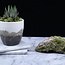 Epidote - Large Rough Raw Natural