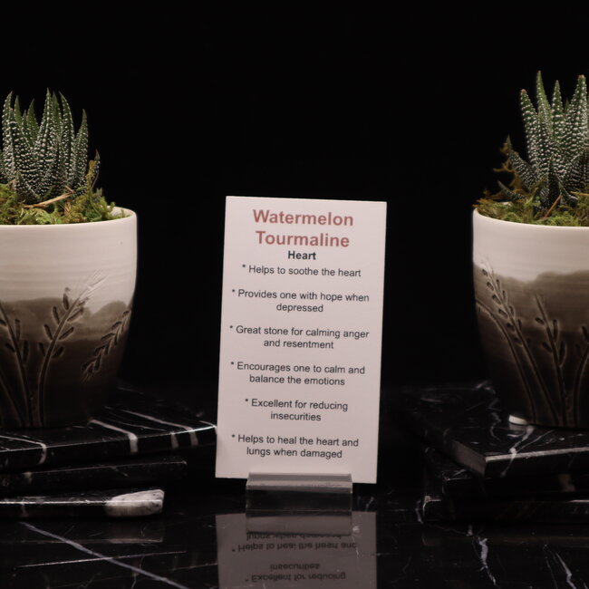 Watermelon Tourmaline - Tumbled Pink Green