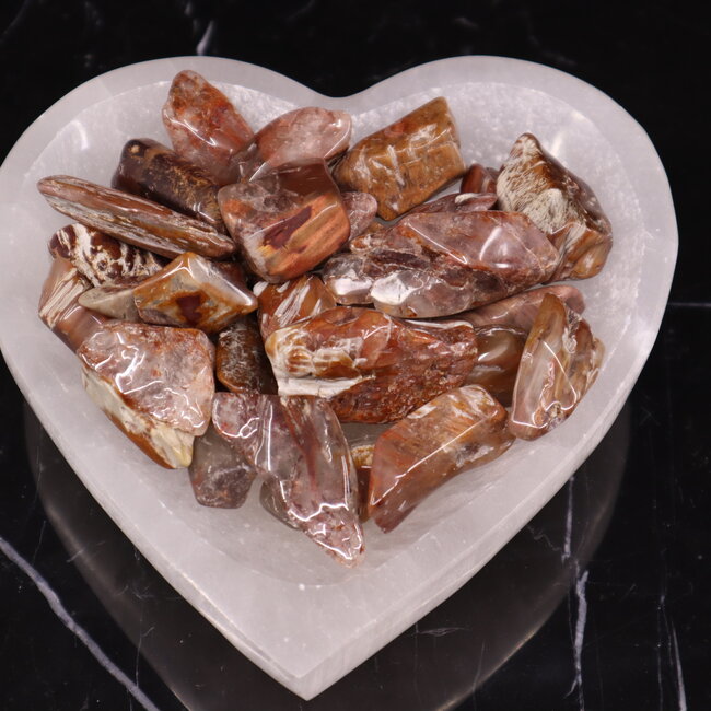 Amphibole - Small Tumbled