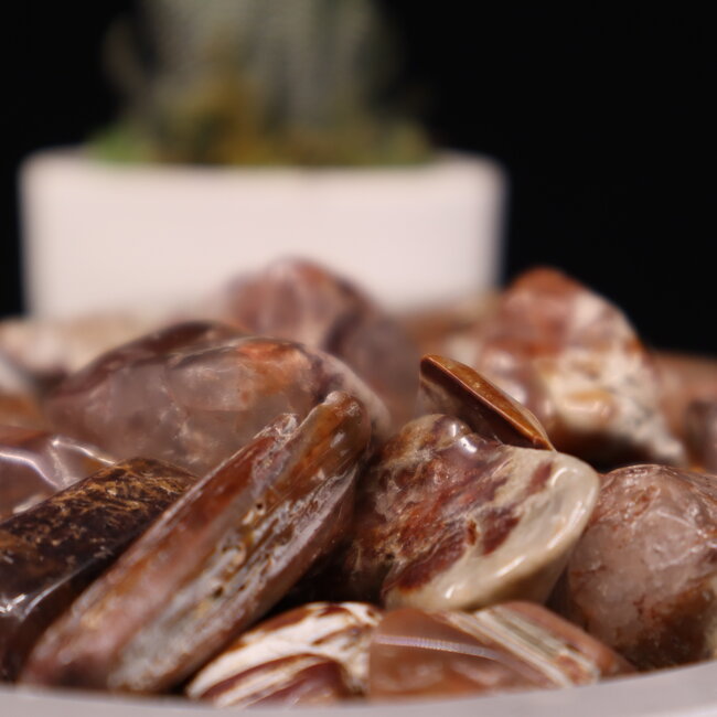 Amphibole - Small Tumbled