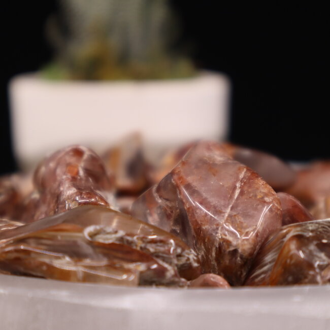 Amphibole - Small Tumbled