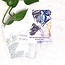 Continue to Grow - Oracle Tarot Cards Deck