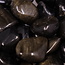 Goldsheen (Gold Sheen Golden) Obsidian - Tumbled