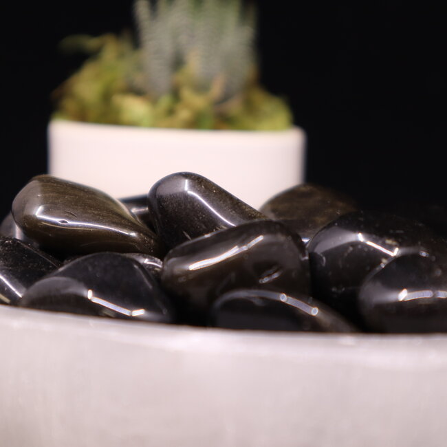 Goldsheen (Gold Sheen Golden) Obsidian - Tumbled
