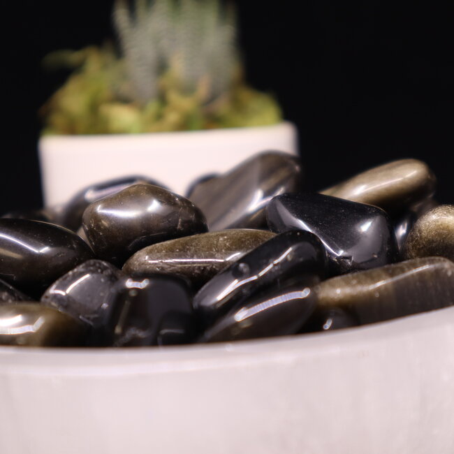 Goldsheen (Gold Sheen Golden) Obsidian - Tumbled