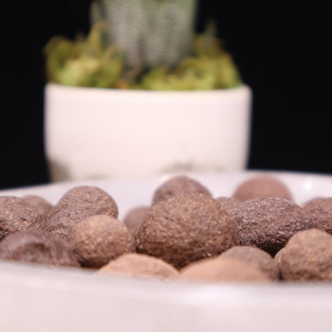 Moqui Balls - Shaman Stones Pair Small - Rough Raw Natural