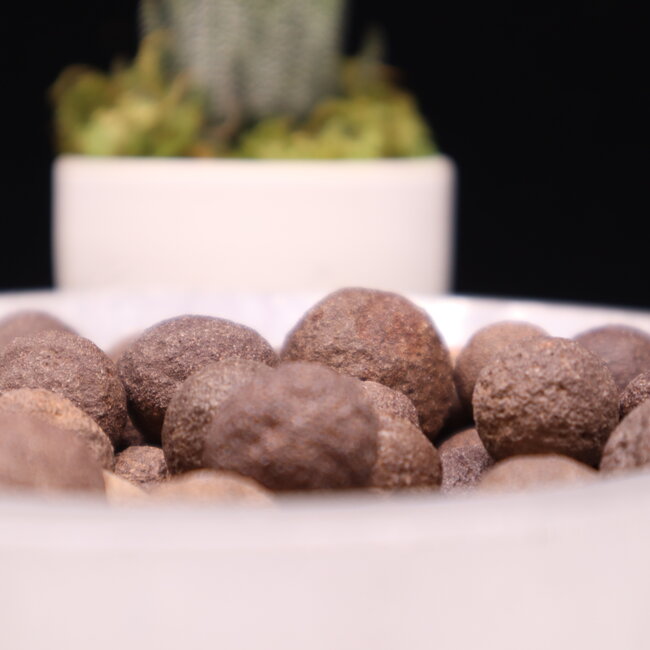 Moqui Balls - Shaman Stones Pair Small - Rough Raw Natural