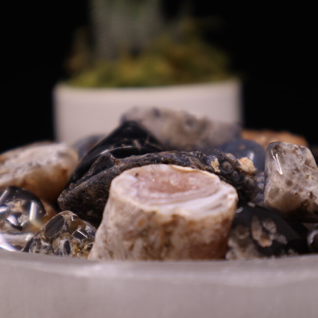 Ocos Agate - Tumbled Smooth