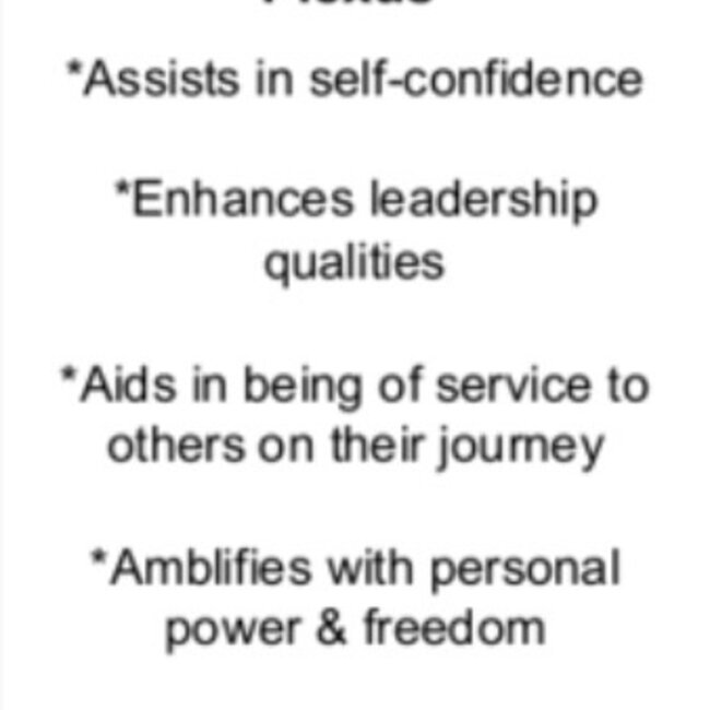 Sunstone Palm Pillow Pocket Stone XL Extra Large