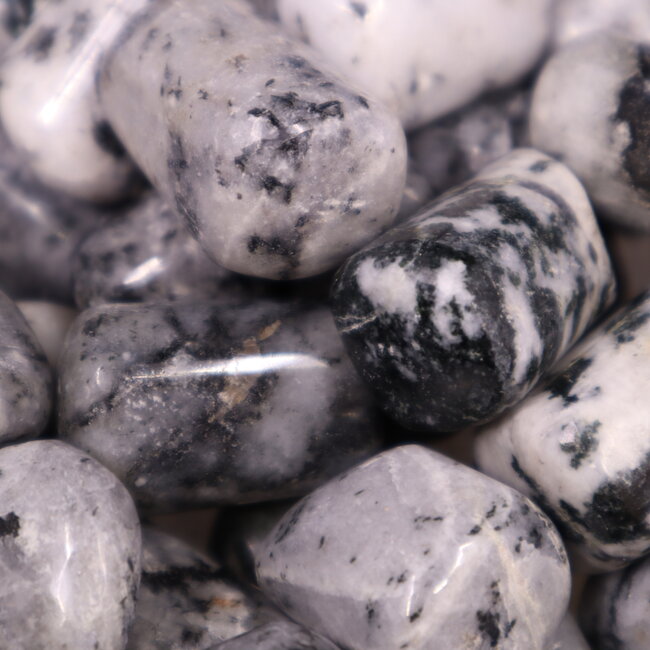 Black Tourmaline in Clear Quartz (Tourmalated Tourmalinated Rutilated Quartz) - Tumbled
