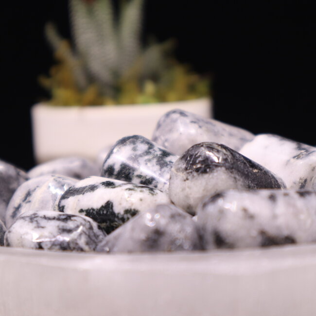 Black Tourmaline in Clear Quartz (Tourmalated Tourmalinated Rutilated Quartz) - Tumbled