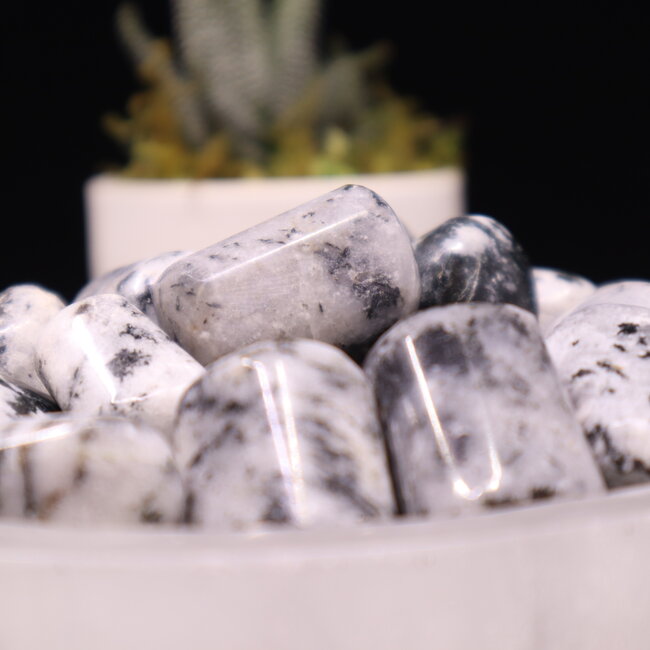 Black Tourmaline in Clear Quartz (Tourmalated Tourmalinated Rutilated Quartz) - Tumbled