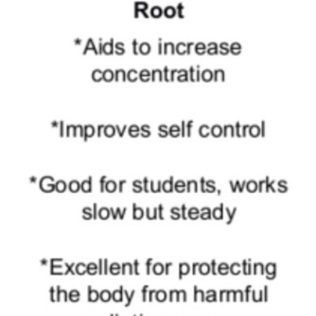 Banded Agate - Tumbled