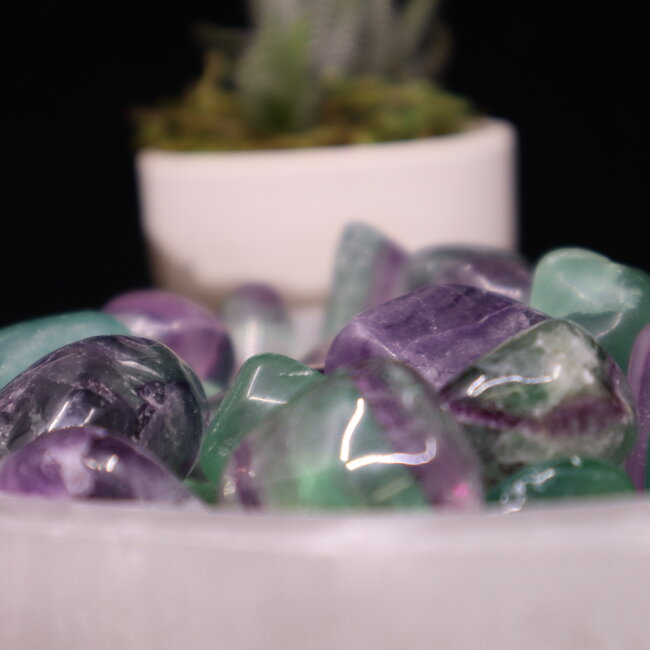 Rainbow Fluorite - Tumbled