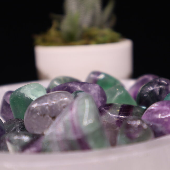 Rainbow Fluorite - Tumbled