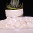 Clear (Crystal) Quartz - Medium Tumbled